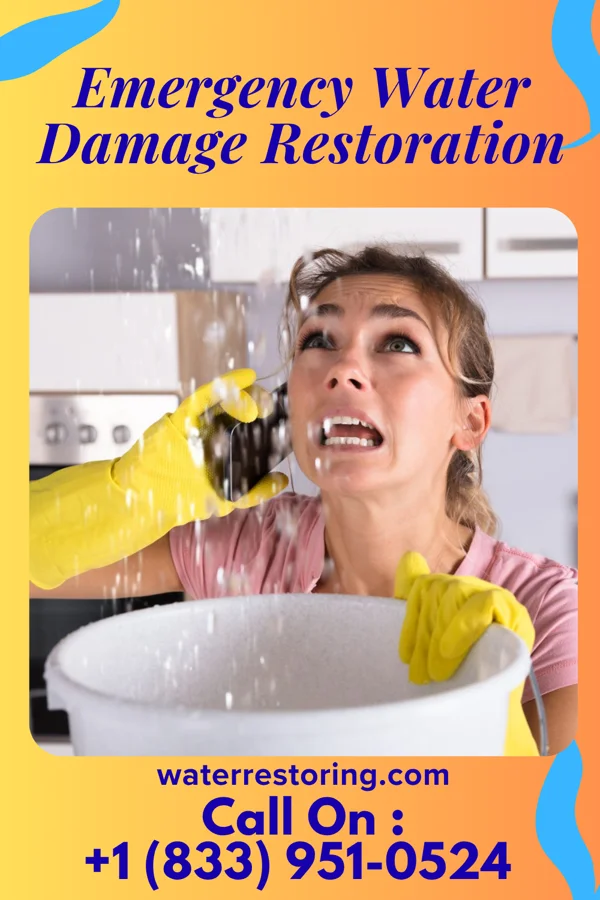 Emergency Water Damage Restoration in Evaro, MT